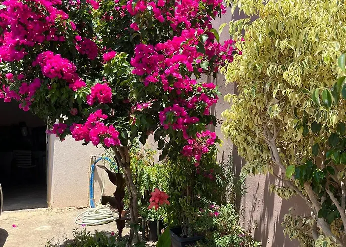 Bloom Garden