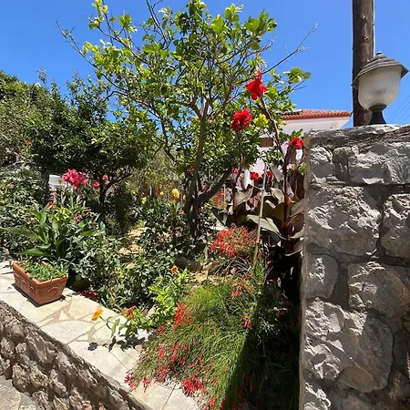 Bloom Garden メトーニ